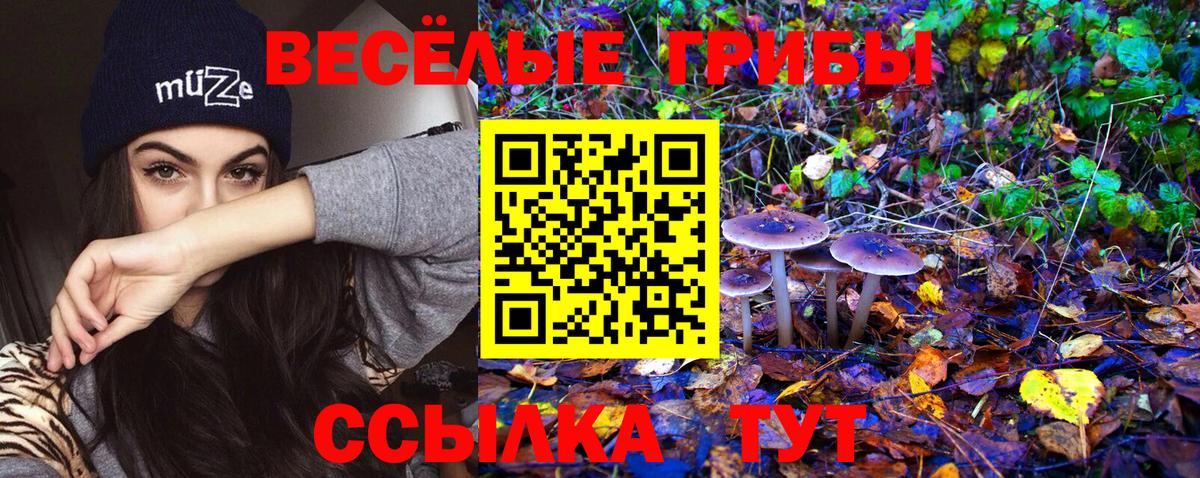 Галлюциногенные грибы ЛСД  Вход с VPN  Саянск 
